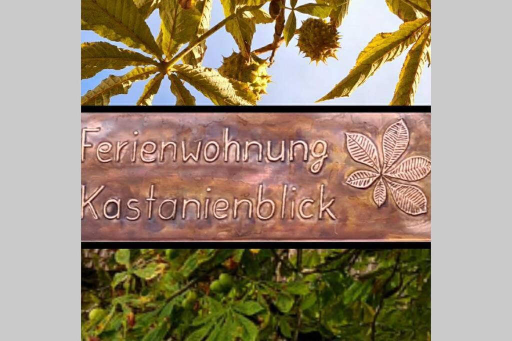 Kastanienblick Lägenhet Sankt Andreasberg Exteriör bild