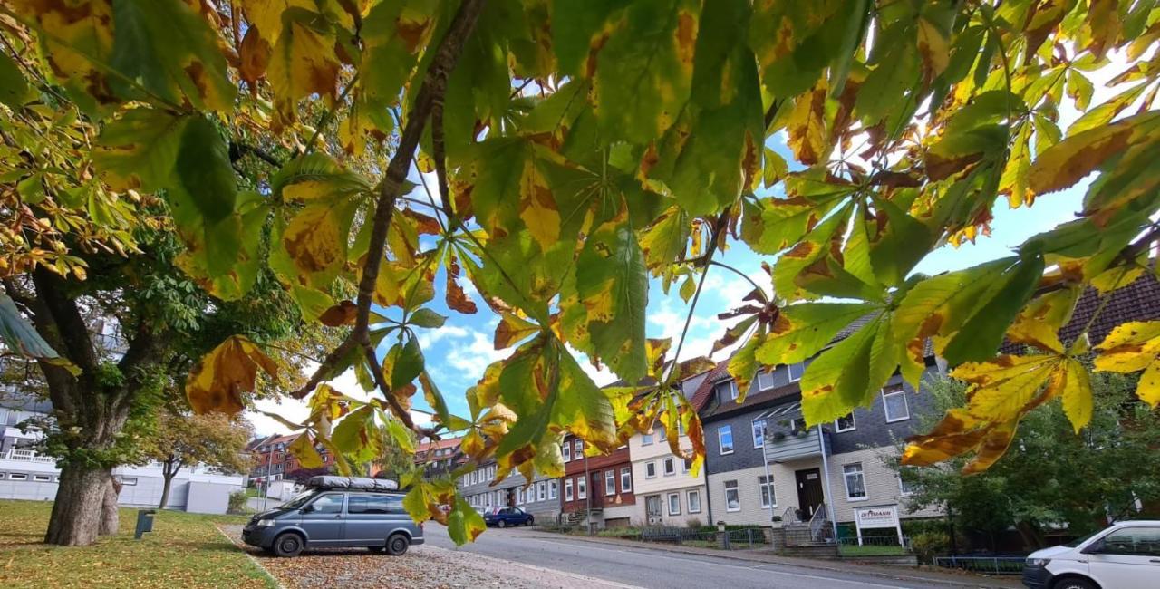 Kastanienblick Lägenhet Sankt Andreasberg Exteriör bild